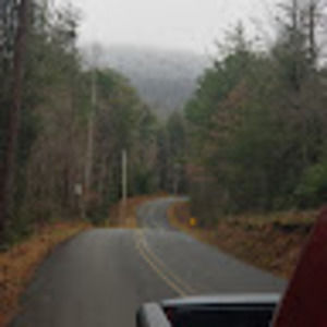 Meet your Posher, Honey